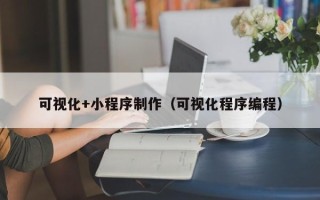 云南可视化+小程序制作（可视化程序编程）